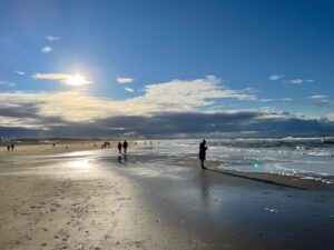 seo katwijk aan zee